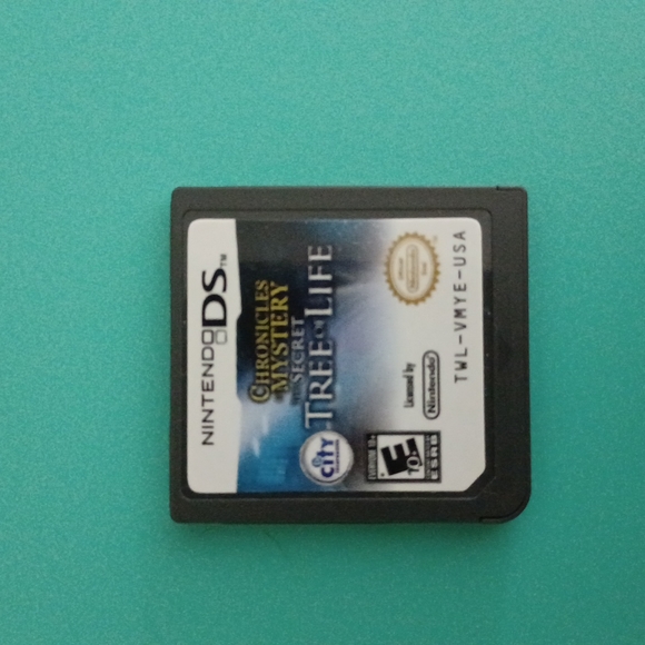Nintendo DS - Picture 7 of 10
